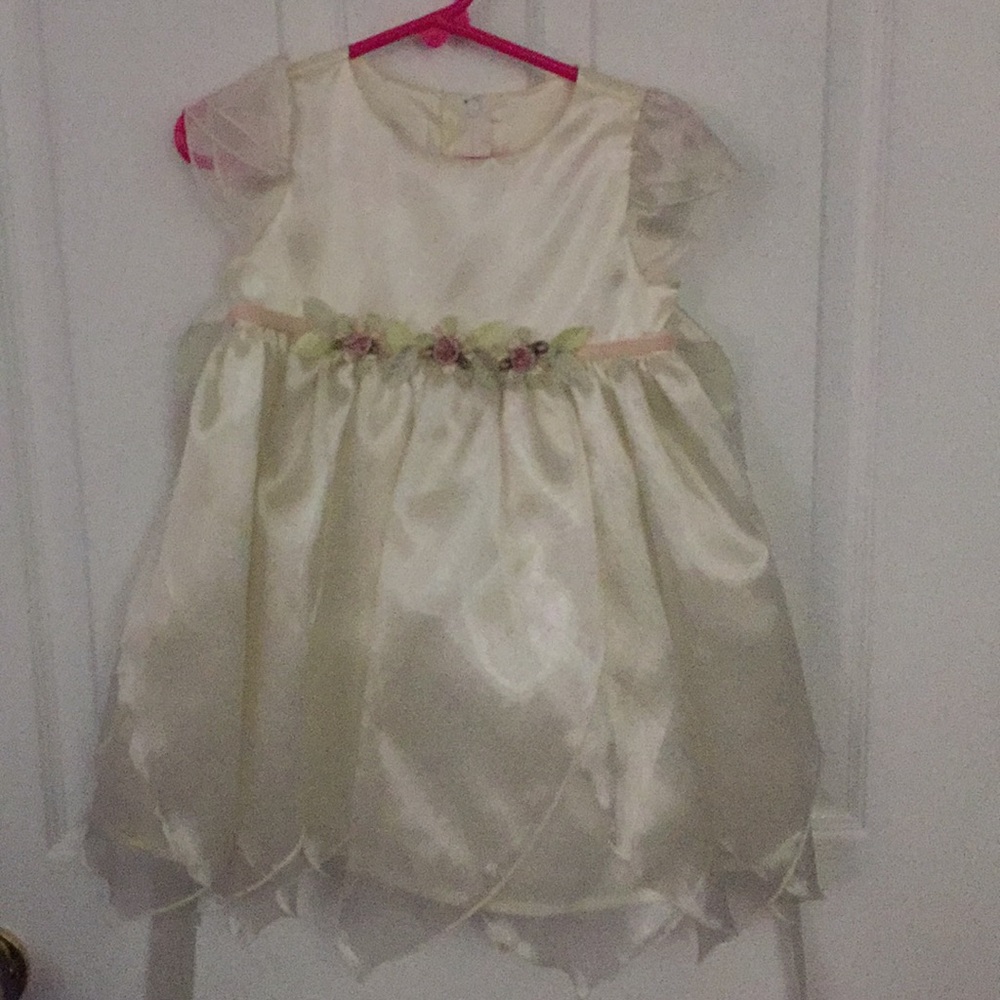 Fancy Dress for toddler girl